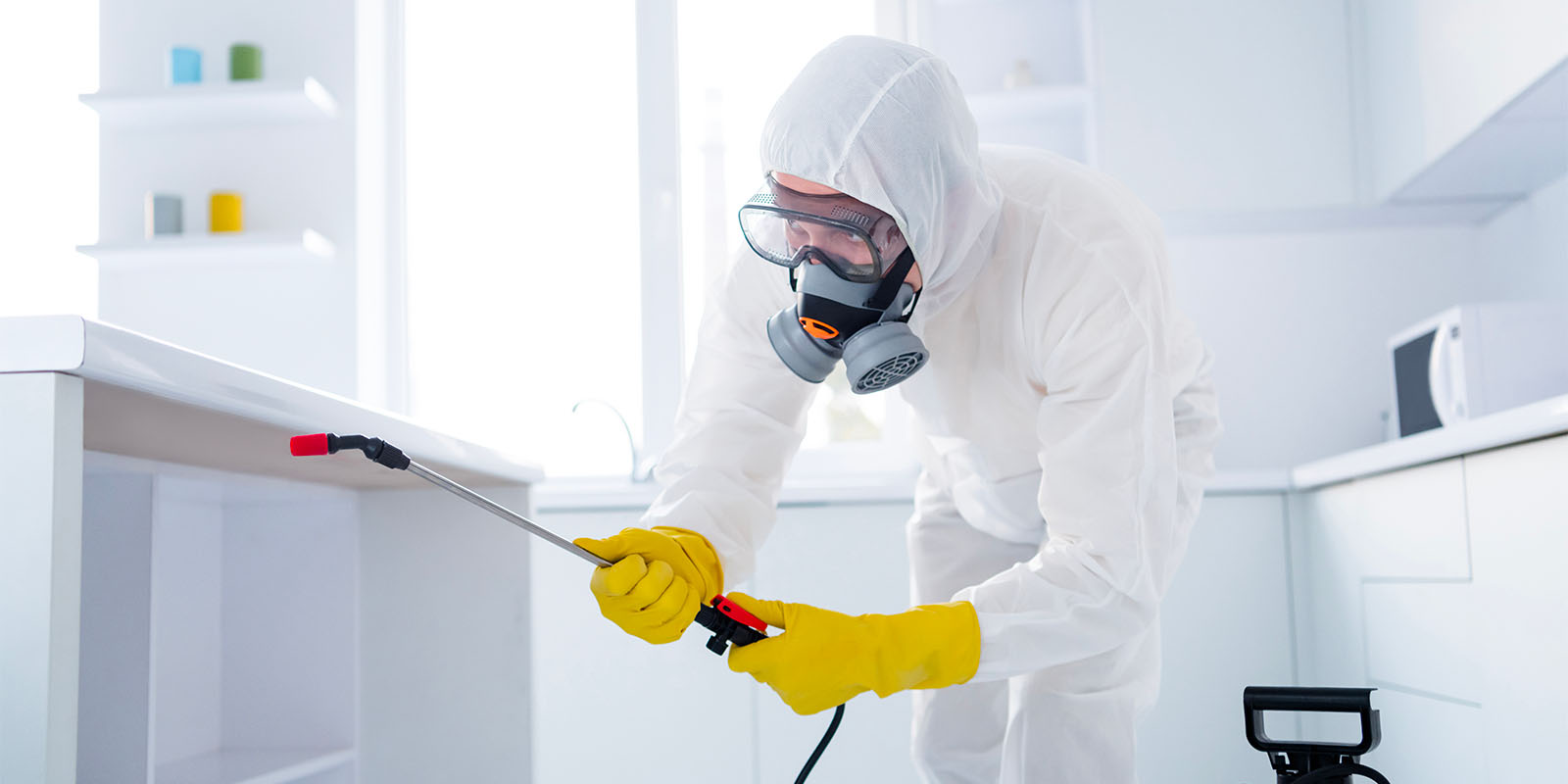 Service Dératiseur - Groupe Artisan